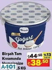 BİRŞAH TAM KIVAMINDA YOĞURT